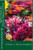Appreciating the Divine Nature of God: Volume 1: Divine Guidance (Appreciating the Divine Nature of God: Divine Guidance)
