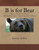 B is for Bear (Bears and Teddy Bears)