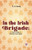 In The Irish Brigade : A Tale Of War In Flanders And Spain