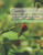 ConexiOn: Como Conectarse Con Los Seres Vivientes (Spanish Edition)