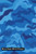 Blood Sugar Blood Pressure: Camouflage pattern cover