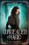 Concealed by Magic (The Magic Sanctuary Trilogy)