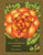 A Colouring Book of Roses (Colouring Books of Flowers)