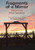 Fragments of a Mirror: Selected Essays