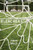 Bleachers: Fifty-Four Linked Fictions