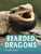 Bearded Dragons (Animals)
