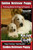 Golden Retriever Puppy Training Book for Dogs and Puppies by Bone Up Dog Training: Are You Ready to Bone Up? Easy Training * Fast Results Golden Retriever Puppy