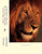 How the Lion Became the King of the Animals: Story and Activity Book