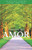 Sendero Del Amor (Spanish Edition)