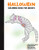 Halloween Coloring Book for Adults: 50 Halloween Illustrations Printed On One Side, Safe For Markers | Fun Craft Activity Gift | Stress Relieving Designs (Spooky House)