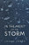 In The Midst Of The Storm
