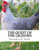 The Quest Of The Leghorn : A Poultry Breeder'S Journey In Search Of The Leghorn Chicken