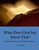 What Does God Say About That? : (Bible Doctrines For A Christian Worldview)