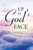 Up In God'S Face : When The Pursuit Of Hearing God Takes You Places You Were Not Expecting
