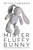 Mister Fluffy Bunny Mister Fluffy Bunny