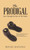 The Prodigal : Seen Through The Eyes Of The Father