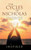 The Cycles Of Nicholas : A Memoir Of Raising A Child With Fetal Alcohol Syndrome Disorder