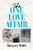 The One Love Affair