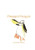 Pleasant Penguin