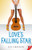 Love's Falling Star