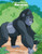 Livro Para Colorir De Macacos 1 & 2