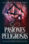 Pasiones Peligrosas : Una Novela De Amor, Acción Y Aventura