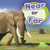 Near Or Far
