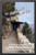 Pathways To Devotion Ix