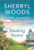 Stealing Home (A Sweet Magnolias Novel, 0)