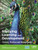 Studying Learning And Development : Context, Practice And Measurement