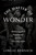 The Matter Of Wonder: Abhinavagupta'S Panentheism And The New Materialism