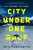 City Under One Roof