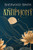 Antiphony