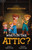 Who'S In The Attic?