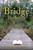 A Bridge Between