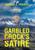 Garbled Crock'S Satire: Conservative Political Satire In Poetic Format