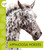 Appaloosa Horses (Spot Horses)