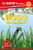 Dk Super Readers Level 1 Bugs Hide And Seek