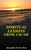 Spiritual Lessons From A Scam