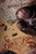 Legacy Of Brick & Bone (Tainted Dominion)