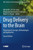 Drug Delivery To The Brain: Physiological Concepts, Methodologies And Approaches (Aaps Advances In The Pharmaceutical Sciences Series, 33)
