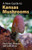 A New Guide to Kansas Mushrooms