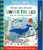 Splish and Splash - Under the Sea (Paint with Water)