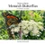 How to Raise Monarch Butterflies: For Children with Adults