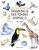 Field Guide To Drawing And Sketching Animals, The