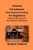 Arizona Real Estate Foreclosure Investing In For Beginners: Find Foreclosure Auctions & Finance Foreclosed Homes