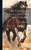 The Yorkshire Cattle-Doctor And Farrier
