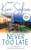 Never Too Late (The Brothers Montgomery)