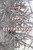 Three C And Verlibrary: Poetry Collection (Russian Edition)