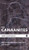 The Canaanites (Cascade Companions)